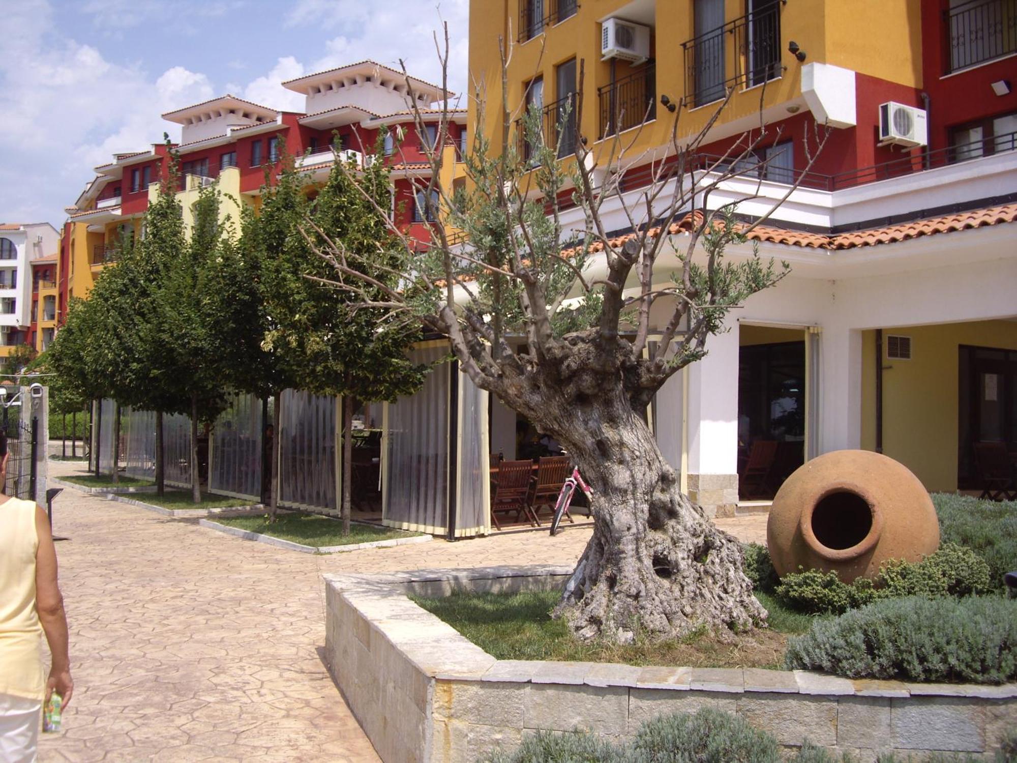 Studio Deluxe In Marina Cape 4 Stars Complex 33 7 Aheloy Exterior foto